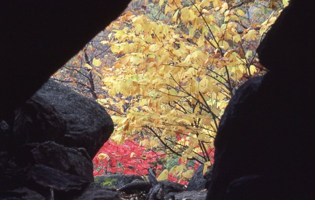 oldraghike19816.jpg