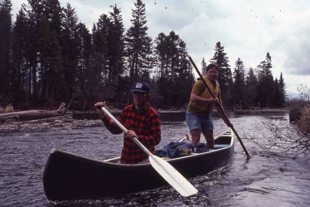 triptomainein19804.jpg